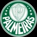 Palmeiras Match Live