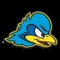 Delaware Blue Hens Match Live