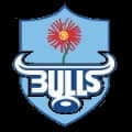 Bulls Match Live