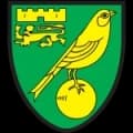 Norwich City Match Live